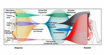 Csm-2022-08-31-Uebersichtsabbildung-Mm-Evolution-066712031f